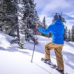 De L'europe Gastein Бадгаштейн