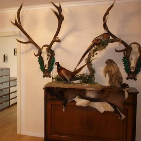 De L'europe Gastein Hotell